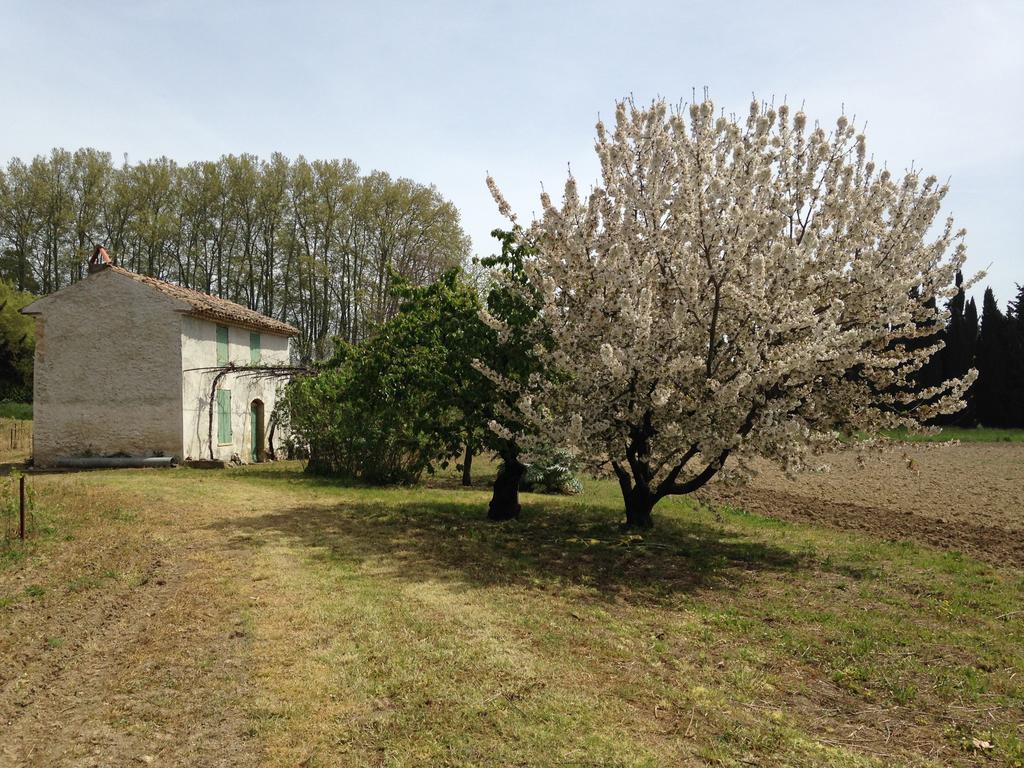La Maison Du Peintre En Provence Mallemort Zewnętrze zdjęcie