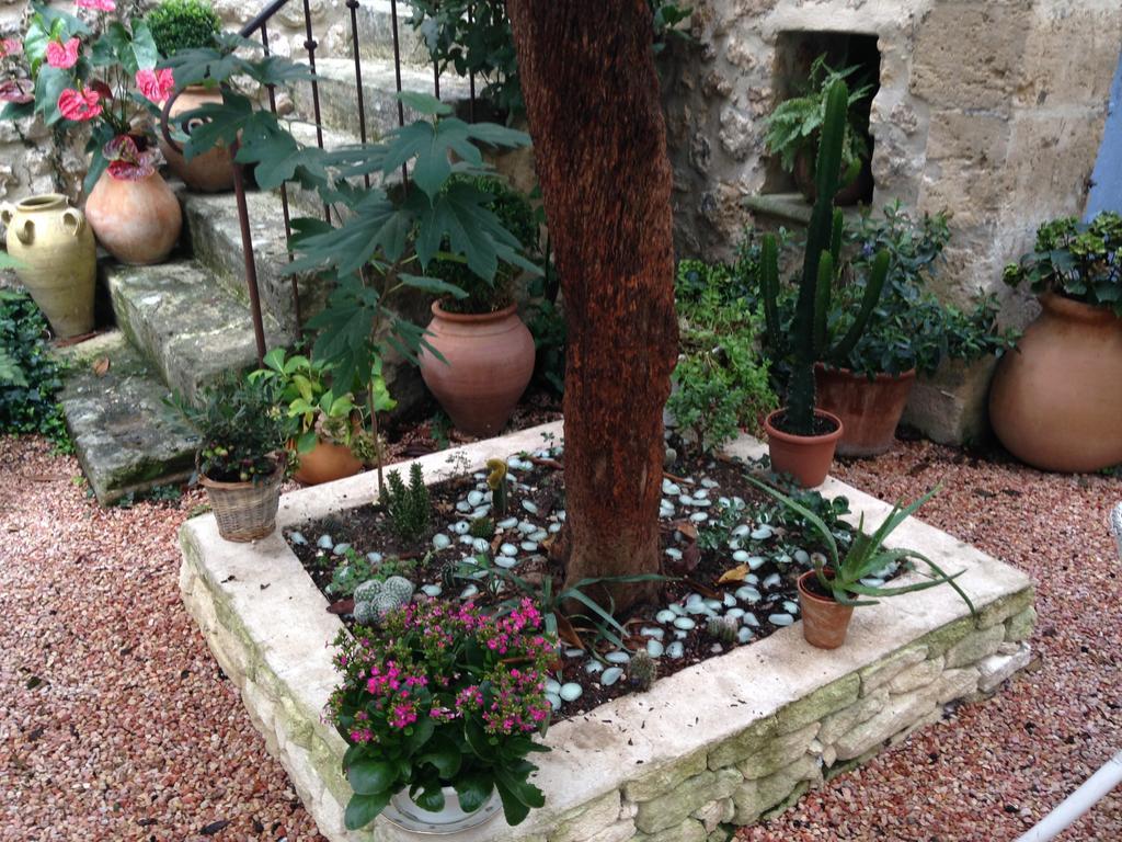 La Maison Du Peintre En Provence Mallemort Zewnętrze zdjęcie