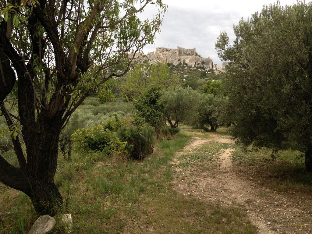 La Maison Du Peintre En Provence Mallemort Zewnętrze zdjęcie